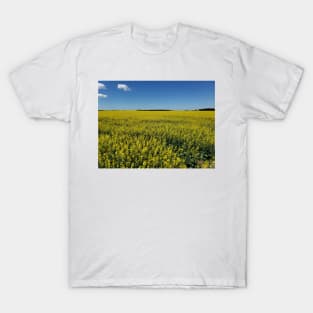 Canola field in bloom T-Shirt